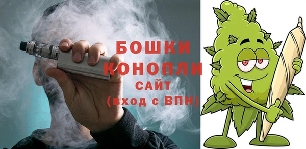 гидра Алексеевка