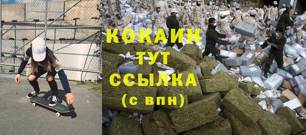 гидра Алексеевка