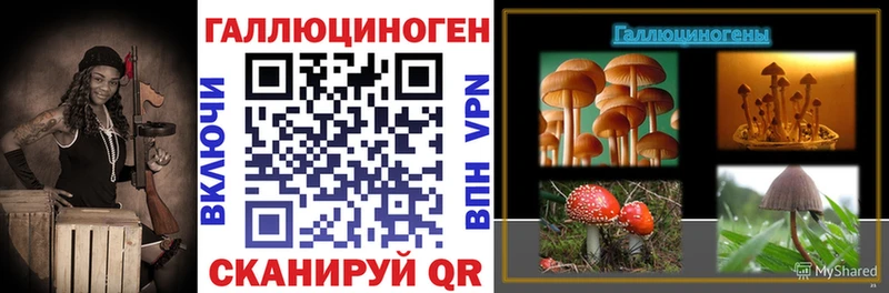 Галлюциногенные грибы Psilocybe  shop телеграм  Иланский 